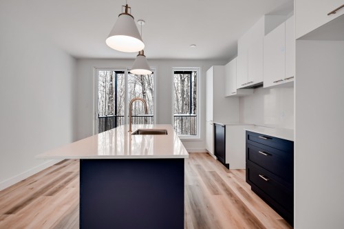Kitchen - 202-100 Rue De L'Hibiscus, Granby, QC - Indoor Photo Showing Kitchen