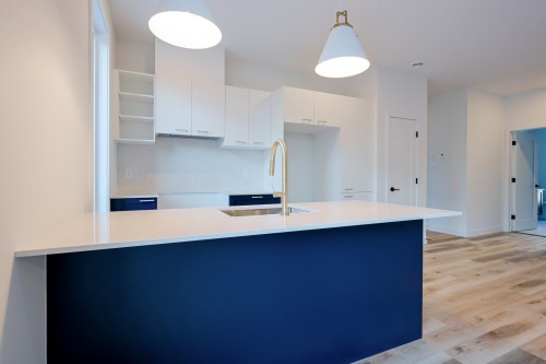 Cuisine - 58 Rue De L'Hibiscus, Granby, QC - Indoor Photo Showing Kitchen