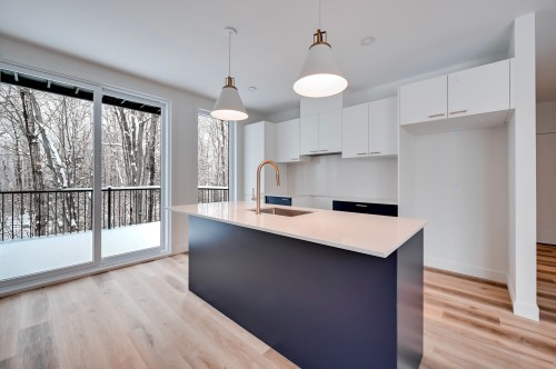 Kitchen - 302-100 Rue De L'Hibiscus, Granby, QC - Indoor Photo Showing Kitchen