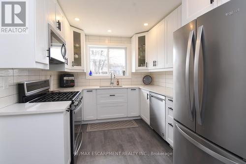 316 Cranbrook Drive, Hamilton, ON - Indoor Photo Showing Kitchen With Stainless Steel Kitchen With Upgraded Kitchen