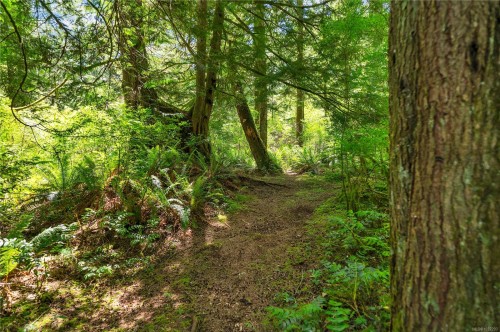 620 Valpy Rd, Quadra Island, BC 