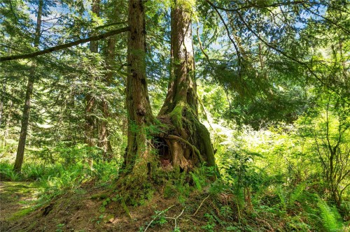 620 Valpy Rd, Quadra Island, BC 