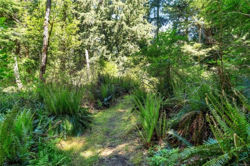 620 Valpy Rd, Quadra Island, BC 