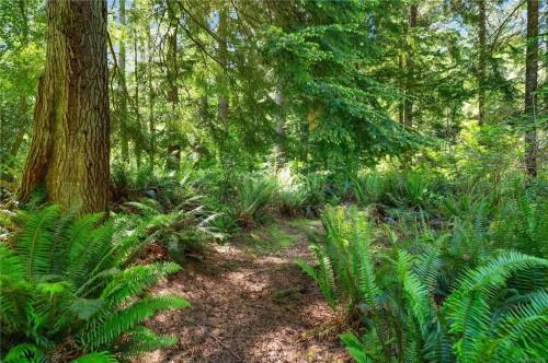 620 Valpy Rd, Quadra Island, BC 