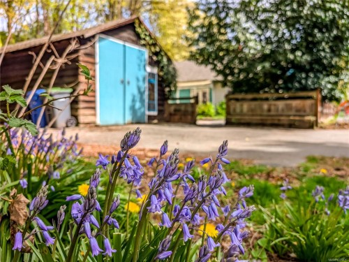 255 White Rd, Duncan, BC 