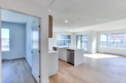 Living Room - 