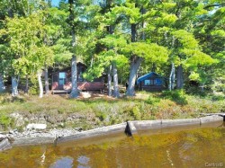 Bord de l'eau - 
