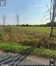 0 Webster Road, Douro-Dummer, ON 