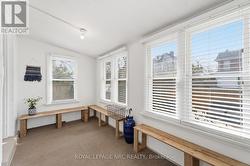 south facing windows - 