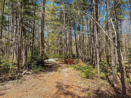 251 Harris Drive, Middle New Cornwall, NS 
