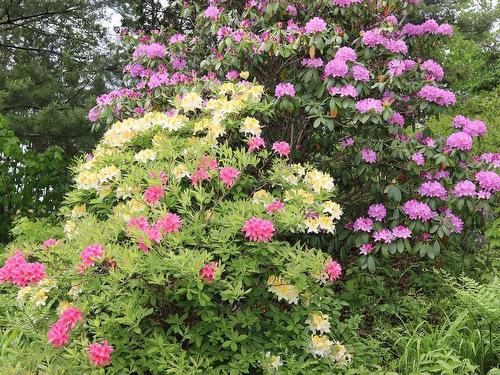 723 Waverley Road, Dartmouth, NS 