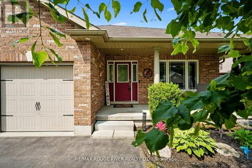 14 Algonquin Avenue, Brighton, ON - Outdoor