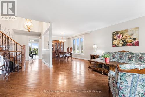176 Daphne Avenue, Mississauga, ON - Indoor Photo Showing Living Room