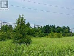 20010 HIGHWAY 7 HIGHWAY Tay Valley, ON K7H 3C6