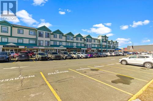 386 Elizabeth Avenue Unit#306  St. John's, NL A1B 1V2
