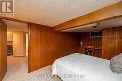 Basement - Den - 