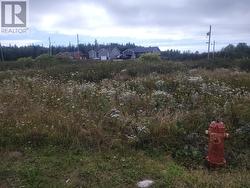 4 Logan Crescent Stephenville, NL A2N 0B7