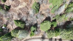 Rue du Ruisseau Arundel, QC J0T 1A0