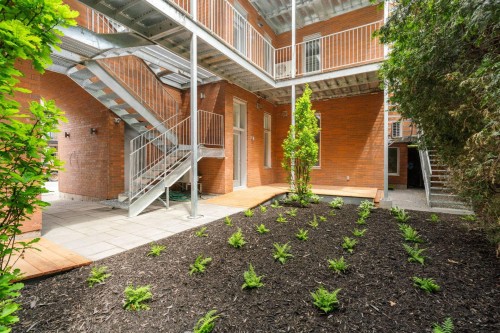 Cour - 1112 Rue De Bellechasse, Montréal (Rosemont/La Petite-Patrie), QC - Outdoor