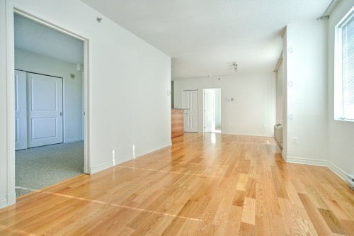 Salon - 502-651 Rue De La Montagne, Montréal (Ville-Marie), QC - Indoor Photo Showing Other Room