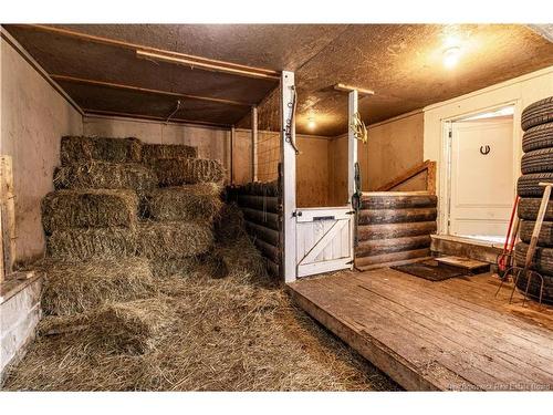 1250 Salmon Creek Rd, Codys, NB 