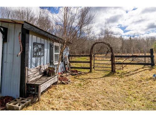1250 Salmon Creek Rd, Codys, NB 