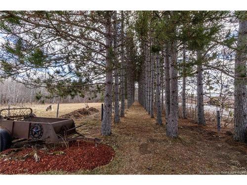 1250 Salmon Creek Rd, Codys, NB 