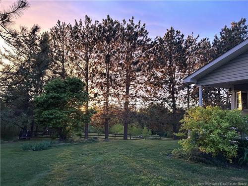 1250 Salmon Creek Rd, Codys, NB 