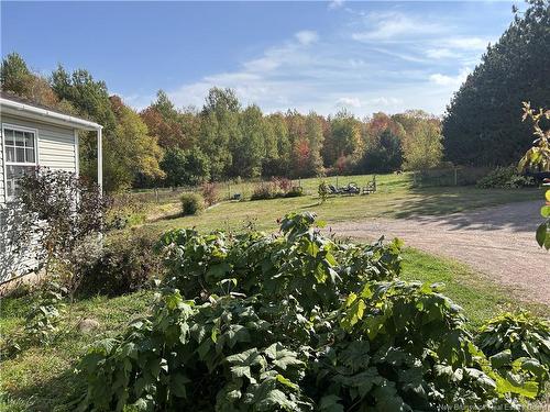1250 Salmon Creek Rd, Codys, NB 