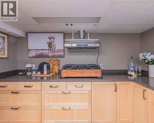 3446 Mark, Windsor, ON - Indoor Photo Showing Kitchen