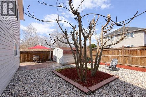 The property features a patio area with a privacy fence, a storage shed, and a gravel yard with a central planting bed - 21 Arden Avenue, Hamilton, ON 