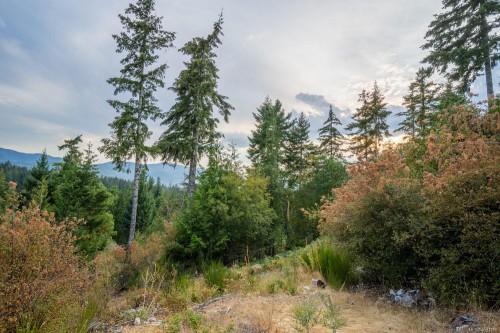 Lot 13 Teal Crt, Lake Cowichan, BC 