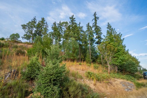 Lot 13 Teal Crt, Lake Cowichan, BC 