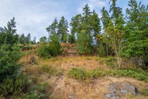 Lot 13 Teal Crt, Lake Cowichan, BC 