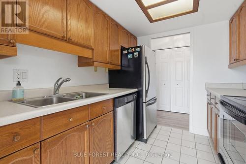 501 - 7 Picton Street, London East (East F), ON - Indoor Photo Showing Kitchen With Double Sink