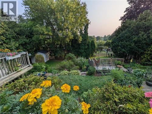 55 Berkley Crescent, Simcoe, ON - Outdoor