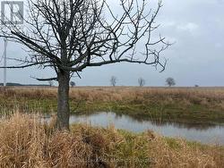 LOT 17 SOUTH SHORE ROAD Frontenac Islands (The Islands), ON K0H 2S0