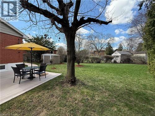 Expansive backyard featuring a well-maintained lawn, a mature tree, and a concrete patio - 23 Percy Court, Hamilton, ON - Outdoor
