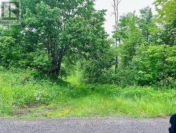 000 LASSWADE ROAD North Kawartha, ON K0L 1A0