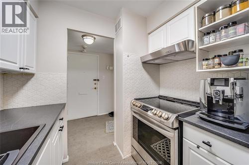 111 Riverside Drive Unit# 312, Windsor, ON - Indoor Photo Showing Kitchen