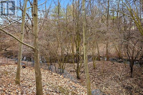 Ravine Stream - 39 Kennett Drive, Whitby (Lynde Creek), ON - Outdoor With View