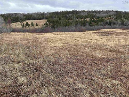 South River Road, Antigonish, NS 