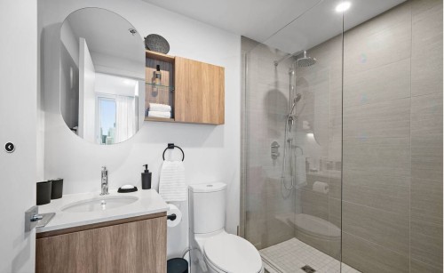 Bathroom - 2505-2300 Rue Tupper, Montréal (Ville-Marie), QC - Indoor Photo Showing Bathroom