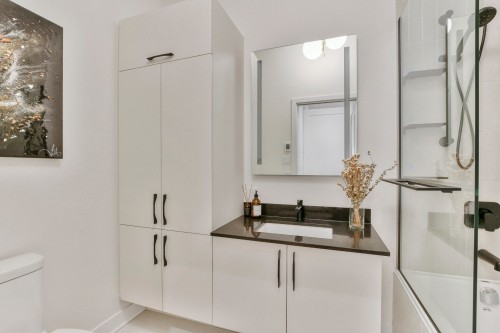 Bathroom - 1501-1900 Rue Émile-Martineau, Laval (Laval-Des-Rapides), QC - Indoor Photo Showing Bathroom