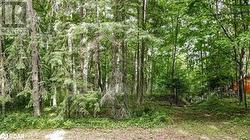 7 FERN LANE Essa, ON L0M 1T0