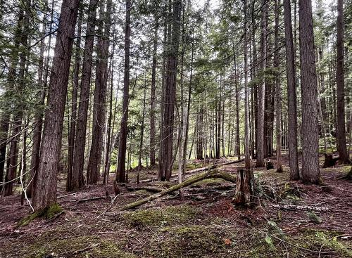 Lot 2 Red Mountain Road, Silverton, BC 