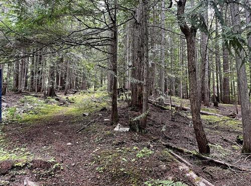Lot 2 Red Mountain Road, Silverton, BC 