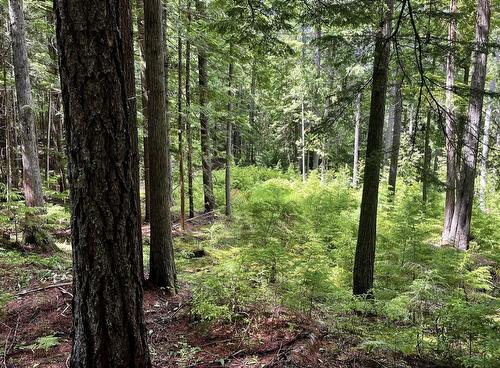 Lot 2 Red Mountain Road, Silverton, BC 