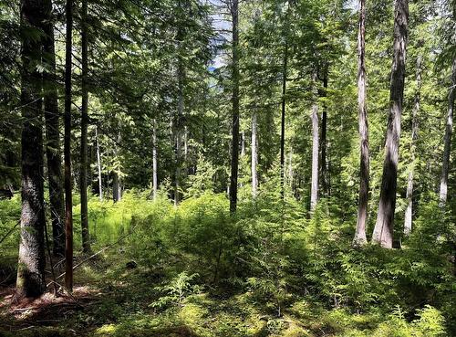 Lot 2 Red Mountain Road, Silverton, BC 