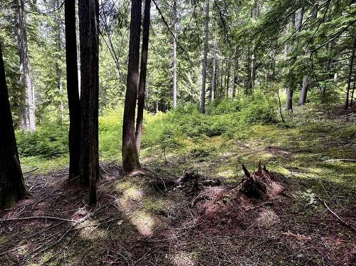 Lot 2 Red Mountain Road, Silverton, BC 